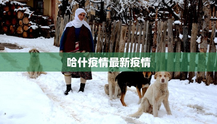 哈什疫情最新疫情