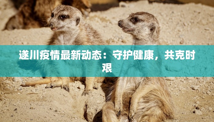 遂川疫情最新动态:守护健康,共克时艰