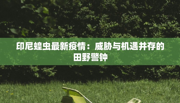 印尼蝗虫最新疫情:威胁与机遇并存的田野警钟