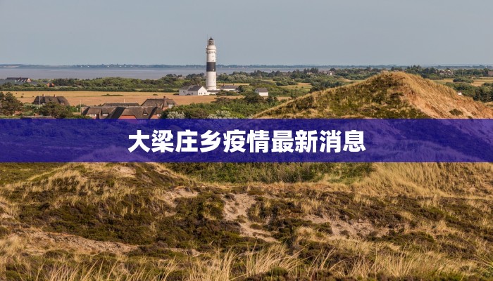 大梁庄乡疫情最新消息