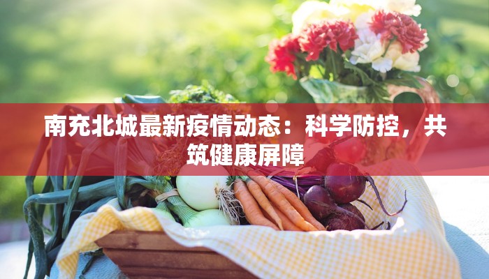 南充北城最新疫情动态：科学防控，共筑健康屏障