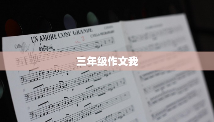 三年级作文我