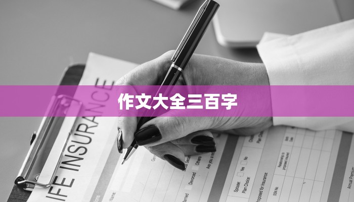 作文大全三百字