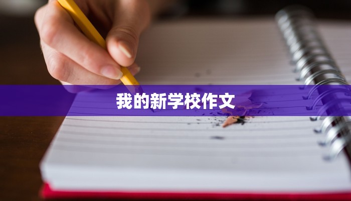 我的新学校作文