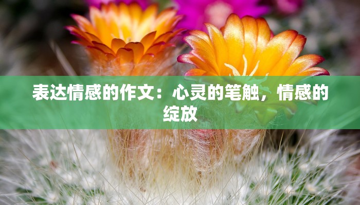 表达情感的作文：心灵的笔触，情感的绽放