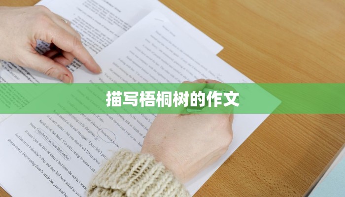 描写梧桐树的作文