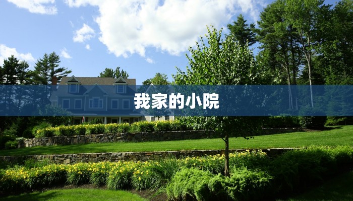 我家的小院