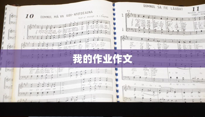 我的作业作文