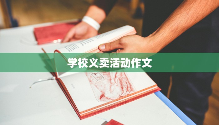 学校义卖活动作文