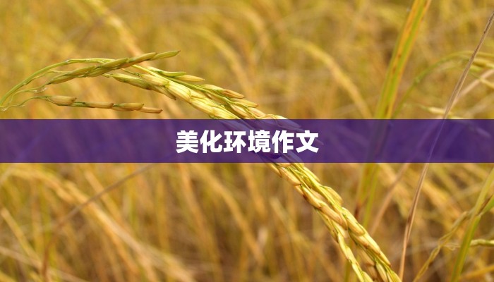 美化环境作文
