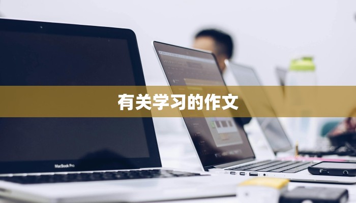 有关学习的作文
