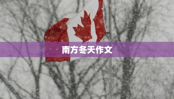 南方冬天作文