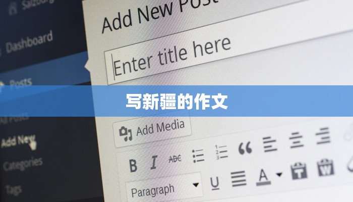 写新疆的作文