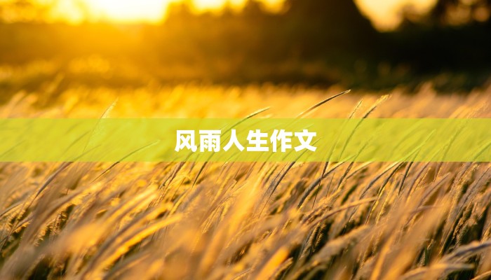 风雨人生作文