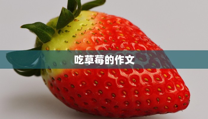 吃草莓的作文