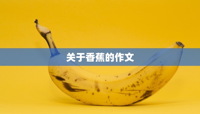 关于香蕉的作文