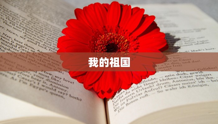 我的祖国