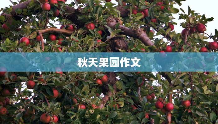 秋天果园作文