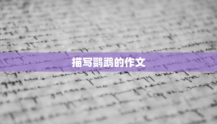 描写鹦鹉的作文