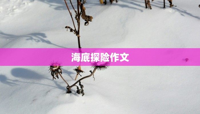 海底探险作文