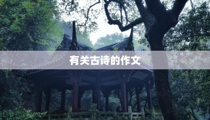 长春金正物流：您的可靠快递伙伴，连接梦想与现实