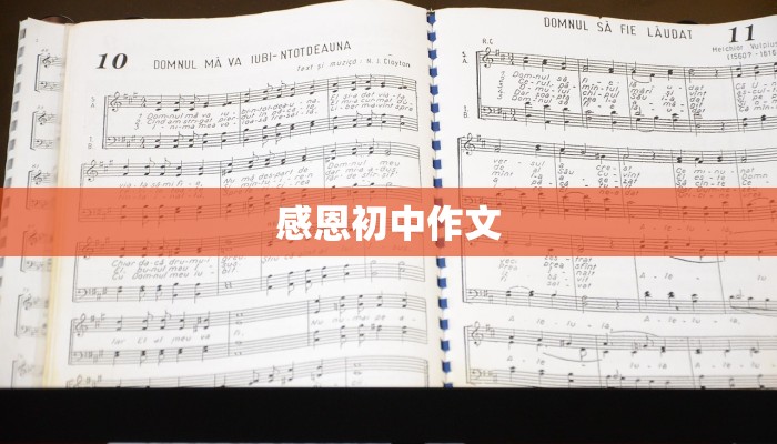 感恩初中作文