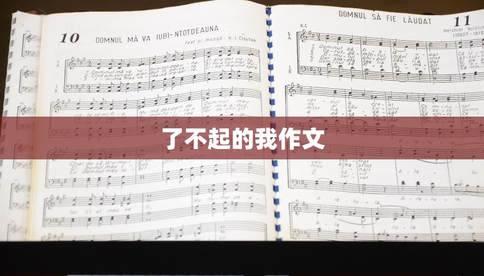 了不起的我作文