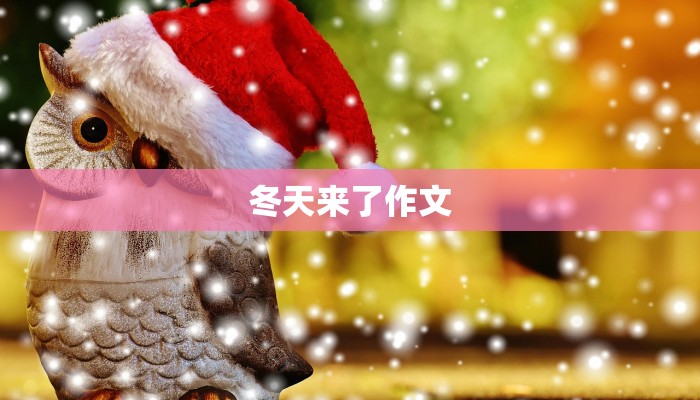 冬天来了作文