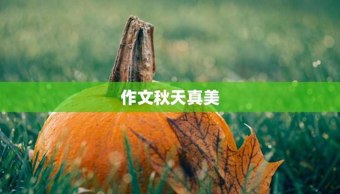 作文秋天真美