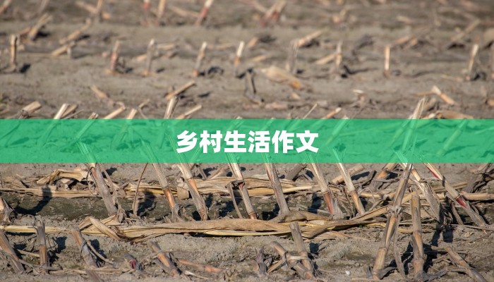 乡村生活作文