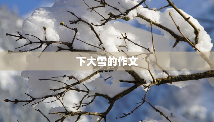 下大雪的作文