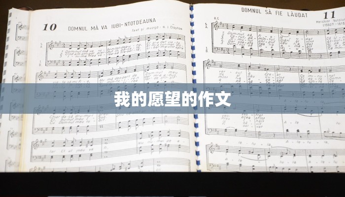 我的愿望的作文