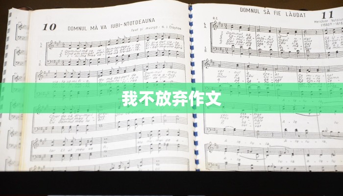 我不放弃作文