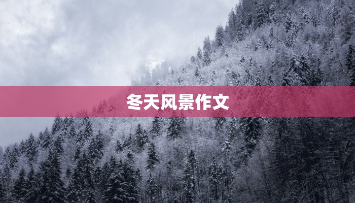 冬天风景作文