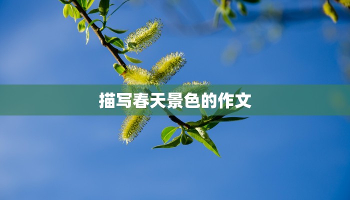 描写春天景色的作文