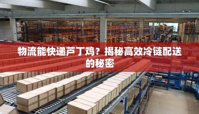 物流能快递芦丁鸡？揭秘高效冷链配送的秘密