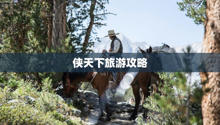 侠天下旅游攻略