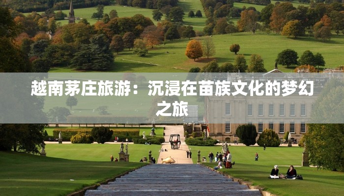 越南茅庄旅游：沉浸在苗族文化的梦幻之旅