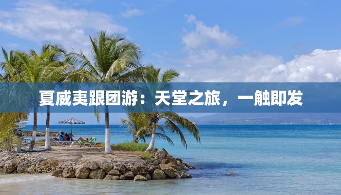 夏威夷跟团游：天堂之旅，一触即发