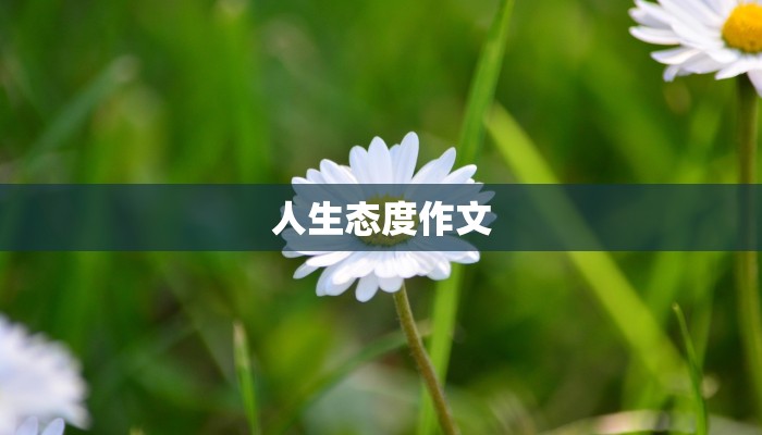 人生态度作文