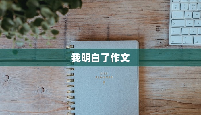 我明白了作文